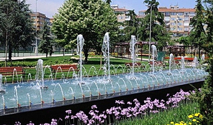 süs havuz