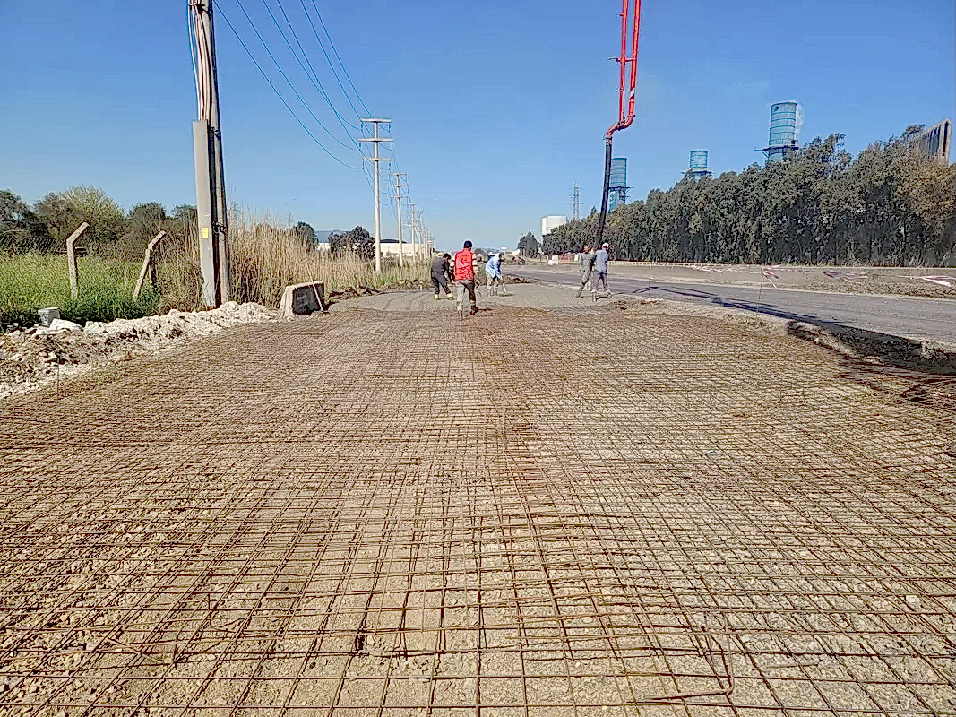 papatya peyzaj