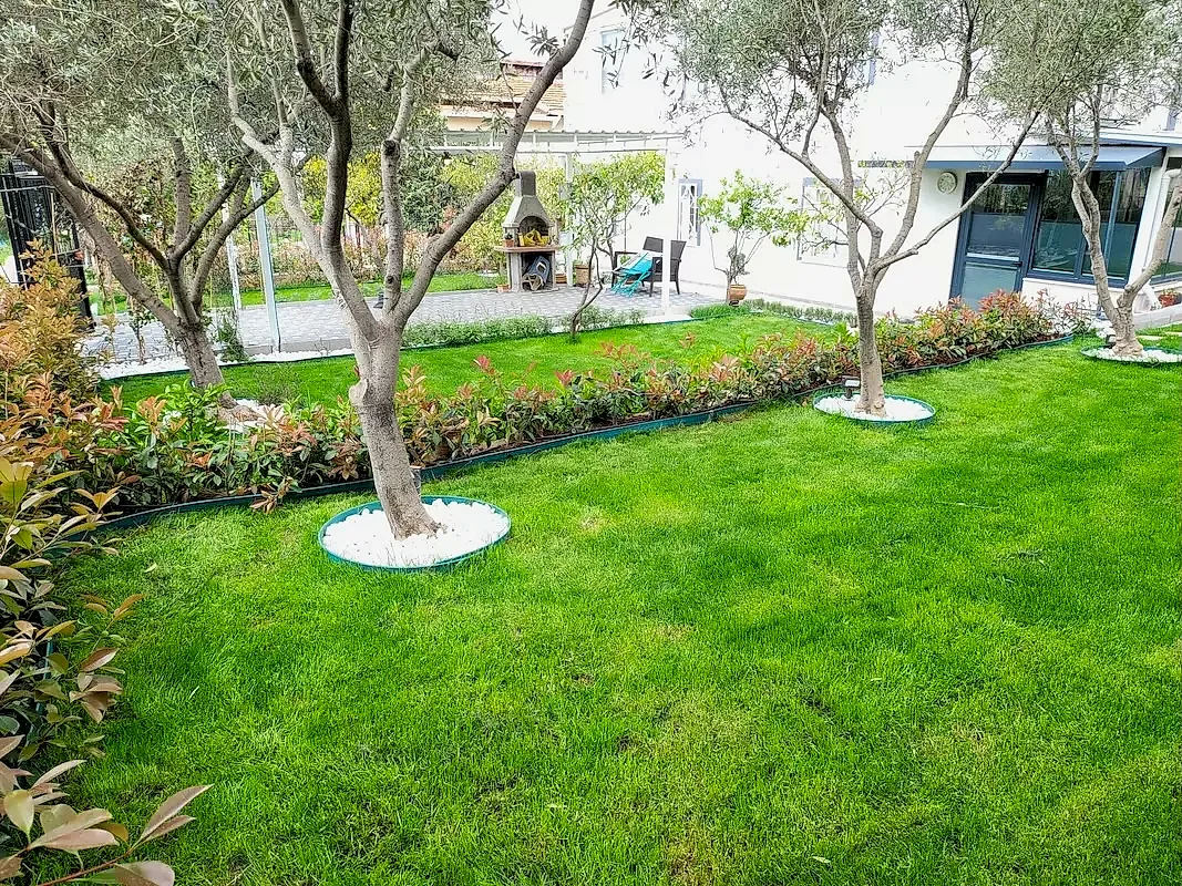 peyzaj projeleri Bakı