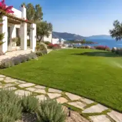 Bodrum Hazır Çim , Rulo Çim